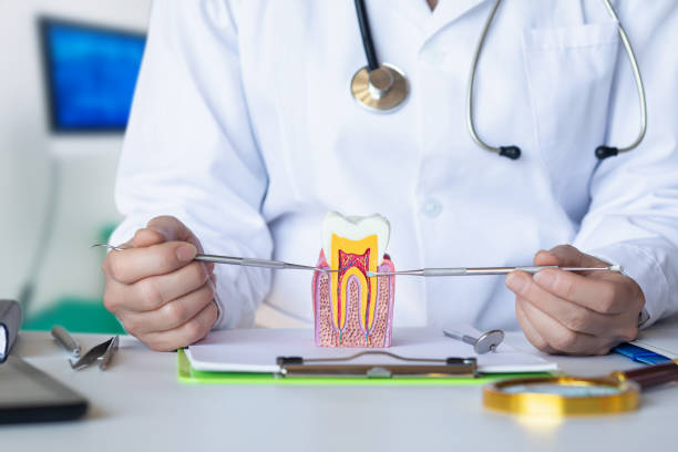 Best Emergency Root Canal Treatment in Davis, OK